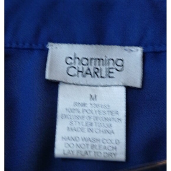 Charming Charlie Women's M Royal Blue Embroidered Blouse Semi Sheer Boho Chic - Picture 7 of 8